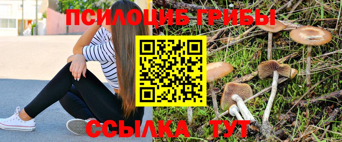 Липецк  Псилоцибиновые грибы Magic Shrooms  Вход с VPN 