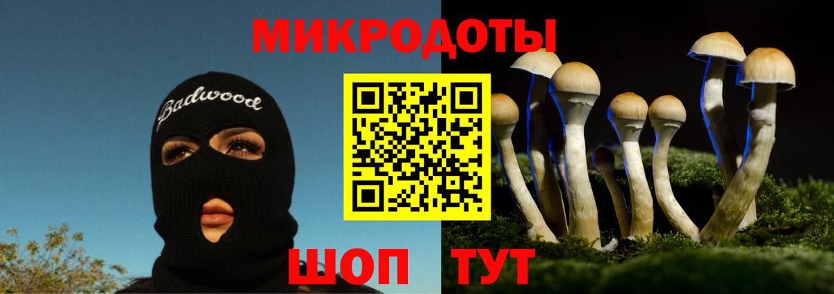 Псилоцибиновые грибы Magic Shrooms Липецк